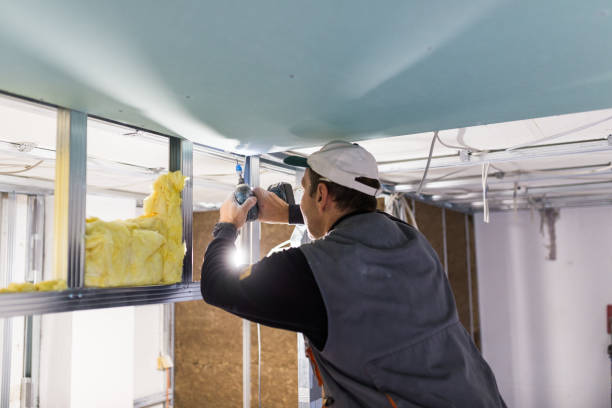 Best Residential Insulation in Prceton, IN
